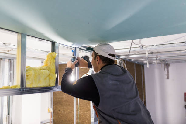 Best Residential Insulation in Wakefield, VA