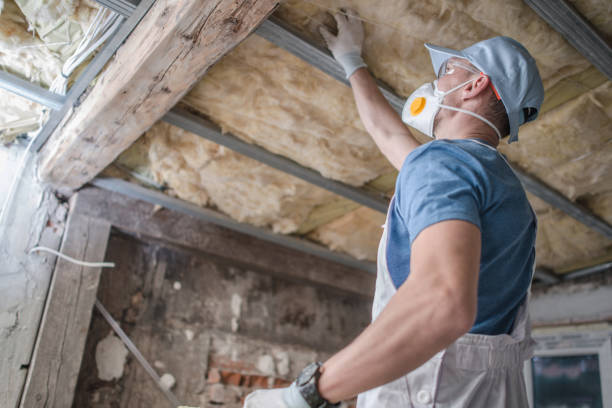 Types of Insulation We Offer in Wakefield, VA